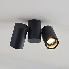 Потолочный светильник Sina, две лампочки, черный цвет цена и информация | Потолочные светильники | kaup24.ee