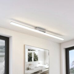 Удлиненный потолочный светодиодный светильник Levke, IP44 цена и информация | Потолочные светильники | kaup24.ee
