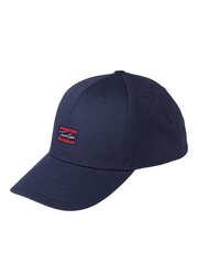 Мужская кепка Jack & Jones, 12225717*02, тёмно-синяя, 5715321247793 цена и информация | Мужские шарфы, шапки, перчатки | kaup24.ee