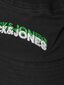 Jack & Jones laste panama 12229912*01, must 5715369221687 цена и информация | Poiste mütsid, sallid, kindad | kaup24.ee