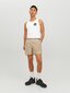 Jack & Jones meeste maika 12228394*03, valge 5715370762421 цена и информация | Meeste T-särgid | kaup24.ee