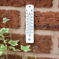 Термометр TENAX, белый цена и информация | Садовые инструменты | kaup24.ee