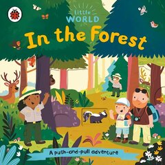 Little World: In the Forest: A push-and-pull adventure цена и информация | Книги для малышей | kaup24.ee