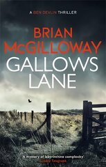 Gallows Lane: An ex con and drug violence collide in the borderlands of Ireland... цена и информация | Фантастика, фэнтези | kaup24.ee