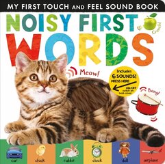 Noisy First Words цена и информация | Книги для малышей | kaup24.ee