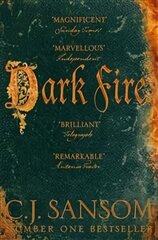 Dark Fire New Edition цена и информация | Фантастика, фэнтези | kaup24.ee