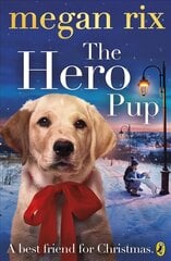 Hero Pup цена и информация | Книги для подростков и молодежи | kaup24.ee