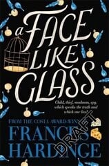 Face Like Glass цена и информация | Книги для подростков и молодежи | kaup24.ee