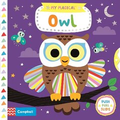 My Magical Owl hind ja info | Väikelaste raamatud | kaup24.ee