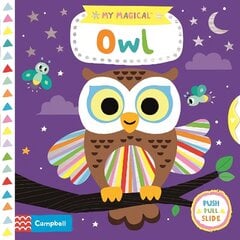 My Magical Owl цена и информация | Книги для малышей | kaup24.ee