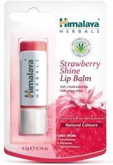 Niisutav huulepalsam Himalaya Herbals Strawberry Shine naistele 4.5 g hind ja info | Huulepulgad, -läiked, -palsamid, vaseliin | kaup24.ee