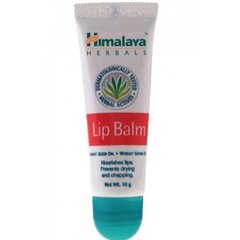 Huulepalsam Himalaya Herbals Lip Balm 10 g hind ja info | Huulepulgad, -läiked, -palsamid, vaseliin | kaup24.ee