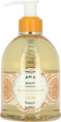 Жидкое мыло Vivian Gray Naturals Orange Blossom, 250 мл цена и информация | Мыло | kaup24.ee