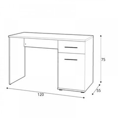 Kirjutuslaud Lima B-1, tamm цена и информация | Компьютерные, письменные столы | kaup24.ee