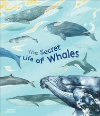 Secret Life of Whales hind ja info | Noortekirjandus | kaup24.ee