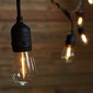 Välitingimustes kasutatav valguskett (LED tuled) 100 m Drop цена и информация | Jõulutuled | kaup24.ee