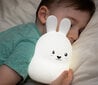 Silikoonist RGB lamp Bunny цена и информация | Lastetoa valgustid | kaup24.ee
