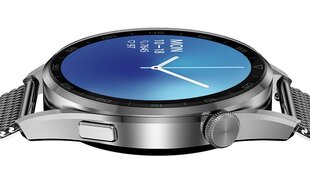 DT3 Silver Steel цена и информация | Смарт-часы (smartwatch) | kaup24.ee