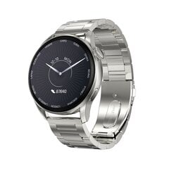 DT3 Silver Steel цена и информация | Смарт-часы (smartwatch) | kaup24.ee