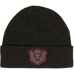 Jinx Diablo IV Daughter of Hatred Beanie Charcoal Heather hind ja info | Fännitooted mänguritele | kaup24.ee