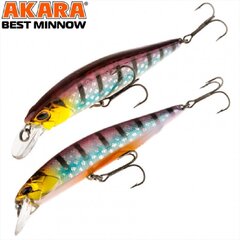 Voobler AKARA BEST MINNOW 110SP 17 G A209 hind ja info | Landid, voblerid | kaup24.ee