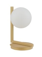 Настольная лампа Andy 33341 цена и информация | Настольная лампа | kaup24.ee