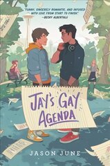 Jay's Gay Agenda цена и информация | Книги для подростков и молодежи | kaup24.ee