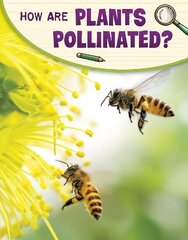 How Are Plants Pollinated? цена и информация | Книги для подростков и молодежи | kaup24.ee