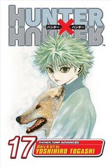 Hunter x Hunter, Vol. 17: A Fierce Three-Way Struggle illustrated edition hind ja info | Fantaasia, müstika | kaup24.ee