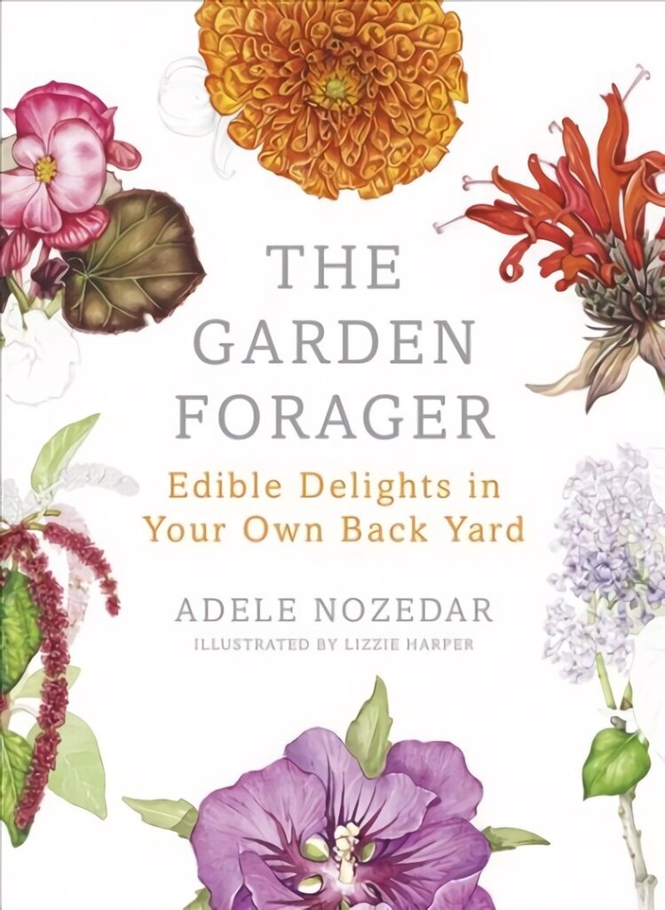 Garden Forager: Edible Delights in your Own Back Yard Illustrated edition hind ja info | Aiandusraamatud | kaup24.ee