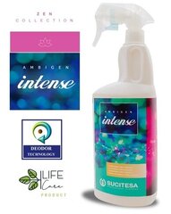Spray aroom Sucitesa Ambigen Intense, 750ml hind ja info | Kodulõhnastajad | kaup24.ee