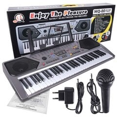 MQ 001 UF Keyboard oreliklahvid mikrofoniga lastele USB MP3 raadio hind ja info | Klahvpillid | kaup24.ee