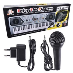 MQ 001 UF Keyboard oreliklahvid mikrofoniga lastele USB MP3 raadio цена и информация | Клавишные музыкальные инструменты | kaup24.ee