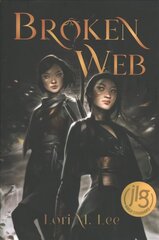 Broken Web цена и информация | Книги для подростков и молодежи | kaup24.ee