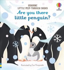 Are you there little penguin? цена и информация | Книги для подростков и молодежи | kaup24.ee
