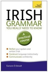 Irish Grammar You Really Need to Know: Teach Yourself 2nd edition цена и информация | Пособия по изучению иностранных языков | kaup24.ee