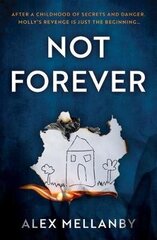 Not Forever цена и информация | Фантастика, фэнтези | kaup24.ee