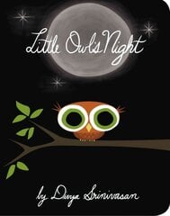 Little Owl's Night hind ja info | Noortekirjandus | kaup24.ee