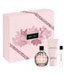 Komplekt Jimmy Choo Jimmy Choo: EDP naistele 100 ml + kehakreem 100 ml + EDP 7,5 ml цена и информация | Naiste parfüümid | kaup24.ee