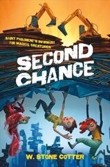 Second Chance hind ja info | Noortekirjandus | kaup24.ee
