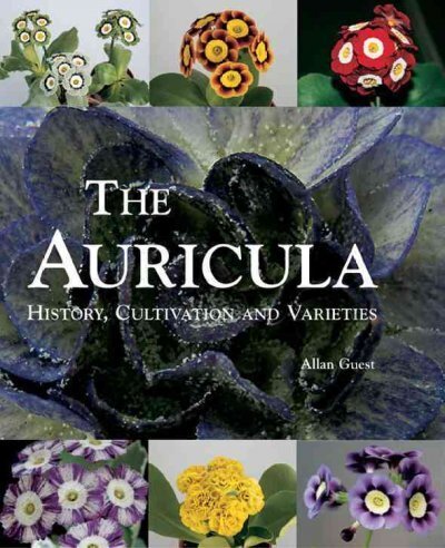 Auricula: History, Cultivation and Varieties: History, Cultivation and Varieties цена и информация | Tervislik eluviis ja toitumine | kaup24.ee