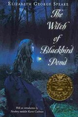 Witch of Blackbird Pond цена и информация | Книги для подростков и молодежи | kaup24.ee