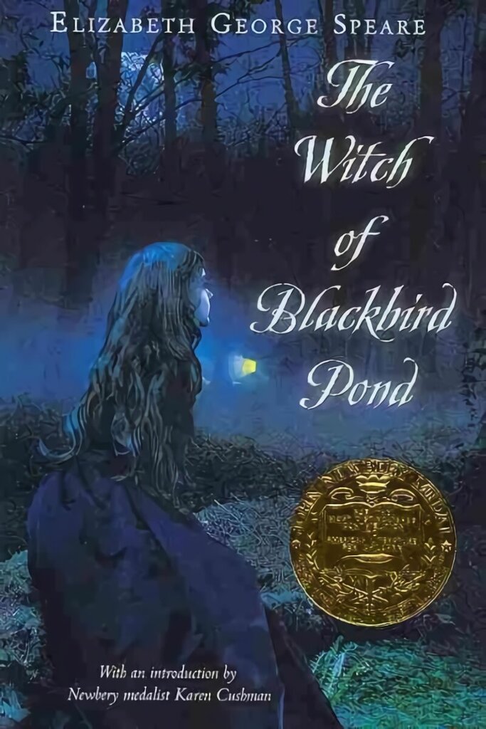 Witch of Blackbird Pond hind ja info | Noortekirjandus | kaup24.ee