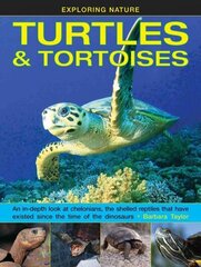 Exploring Nature: Turtles & Tortoises: An in-Depth Look at Chelonians, the Shelled Reptiles That Have Existed Since the Time of Dinosaurs hind ja info | Noortekirjandus | kaup24.ee