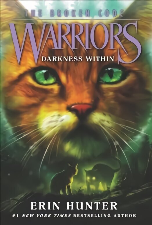 Warriors: The Broken Code #4: Darkness Within hind ja info | Noortekirjandus | kaup24.ee