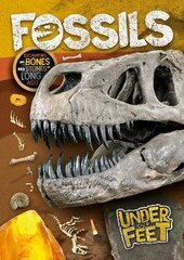 Fossils hind ja info | Noortekirjandus | kaup24.ee