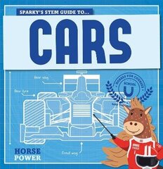 Cars (Молния Маквин) цена и информация | Книги для подростков и молодежи | kaup24.ee