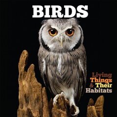 Birds None ed. цена и информация | Книги для подростков и молодежи | kaup24.ee