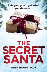 Secret Santa: This year, you'll get what you deserve... цена и информация | Фантастика, фэнтези | kaup24.ee