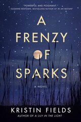 Frenzy of Sparks: A Novel hind ja info | Fantaasia, müstika | kaup24.ee